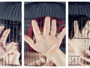 Nefes Olabilmek İçin Kafese Girdiler