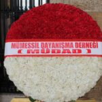 mudad anitkabirde 1 640x480 150x150 - Bu Yıl Tıbbi M&uuml;messiller 14 Nisan'ı Coşkuyla Kutluyor