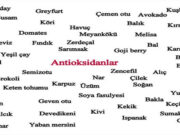Antioksidan Deposu 61 Besin