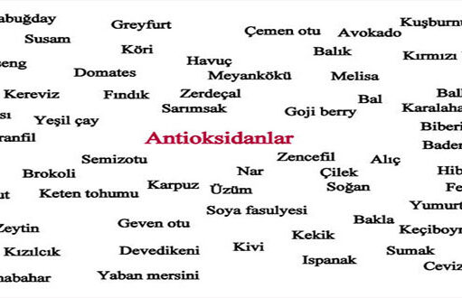 Antioksidan Deposu 61 Besin