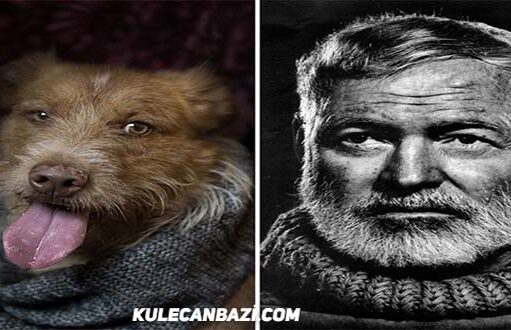 Köpekler ve Ünlü Yazarlar