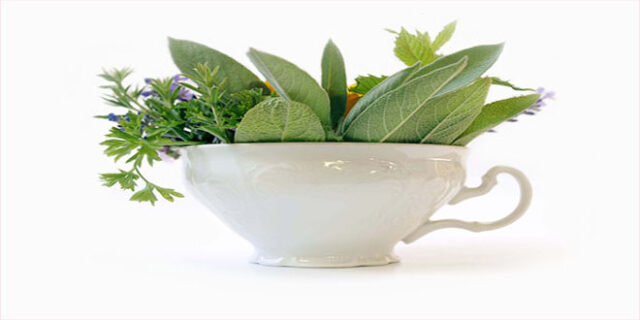 adacayi-agizdaki-bakterileri-olduruyor-660x330