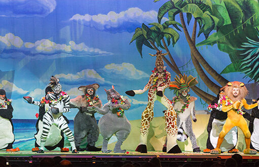 Madagascar Live Show İstanbullularla Buluştu