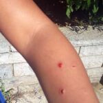 temel hayvan guzel sunucuya saldirdi 10 270x480 150x150 - Tembel Hayvan G&uuml;zel Sunucuya Saldırdı