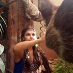 temel hayvan guzel sunucuya saldirdi 2 270x480 150x150 - Tembel Hayvan G&uuml;zel Sunucuya Saldırdı