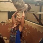 temel hayvan guzel sunucuya saldirdi 3 270x480 150x150 - Tembel Hayvan G&uuml;zel Sunucuya Saldırdı