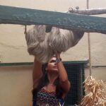 temel hayvan guzel sunucuya saldirdi 5 853x480 150x150 - Tembel Hayvan G&uuml;zel Sunucuya Saldırdı