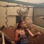 temel hayvan guzel sunucuya saldirdi 6 270x480 150x150 - Tembel Hayvan G&uuml;zel Sunucuya Saldırdı