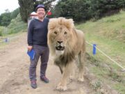 Rusya Krizi Bizans Oyunları’nı Teğet Geçti