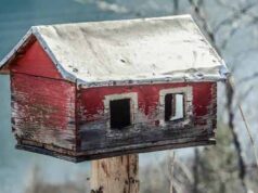 Yapı Sektörü Yapı Fuarı’nda Buluşuyor