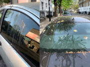 Kuş Pisliklerine Karşı Sıra Dışı Boya Koruma Yöntemi