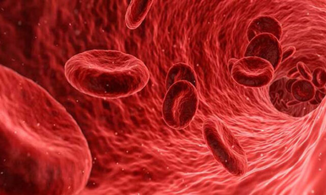 roche-ilac-turkiye-hem-de-nasil-projesini-hayata-gecirdi1-kulecanbazi-com-700x420
