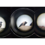 pandemi gunlerinde fotograf 3 kulecanbazi com 700x420 1 150x150 - Pandemi G&uuml;nlerinde Fotoğraf