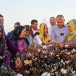 turkan soray kendi adinin verildigi pamugun hasadina katildi 18 kulecanbazi com 700x420 1 150x150 - T&uuml;rkan Şoray, Kendi Adının Verildiği Pamuğun Hasadına Katıldı