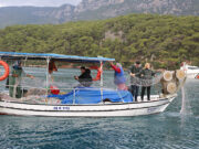 Muğla Sularına 60 Bin Yavru Balık Bırakıldı