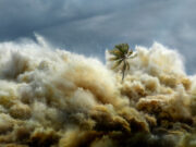 Tsunami: Kıyamet Dalgaları