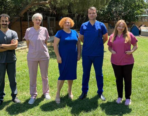 ENCANDER: Engelli ve Muhtaç Hayvanlara Avrupa Standartlarında Bir Yuva